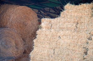 A photograph of both round and square hay bales stored in a barn