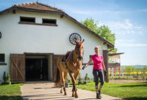 girl with horse in stable
